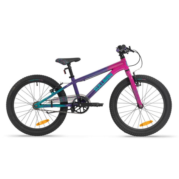 Sullivan Biomechanix V4 20" Kids Bike