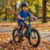 Sullivan Biomechanix V4 16" Kids Bike