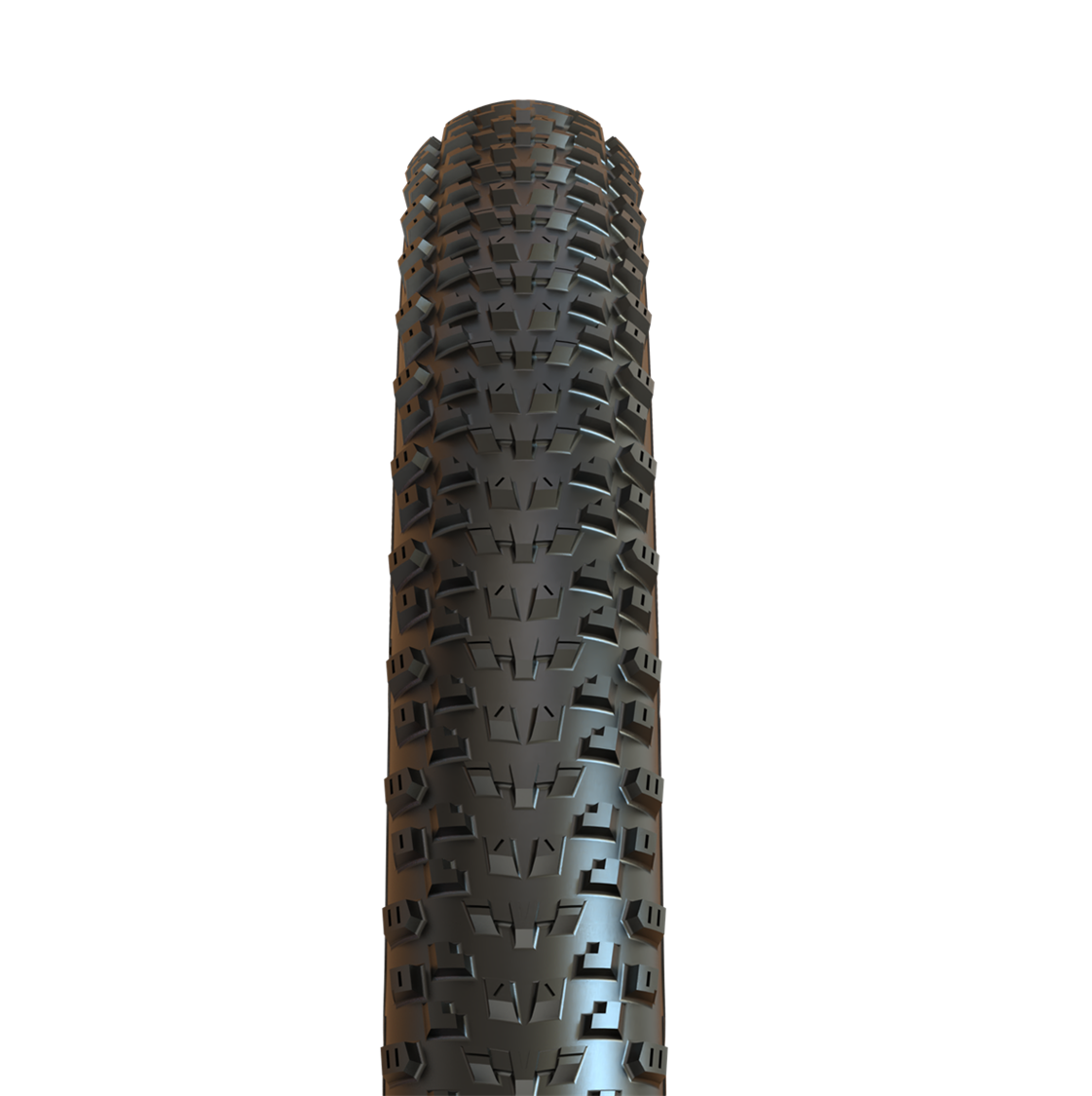 Maxxis Tyre Pace Wire Bead / 26