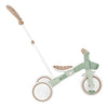 Globber LEARNING TRIKE 3in1 PLUS Ecological
