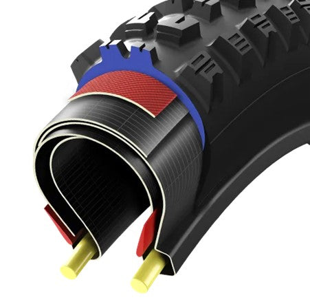 Vittoria 29