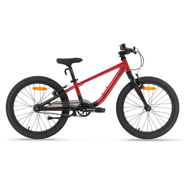 Sullivan Biomechanix Pro 20" Kids Bike