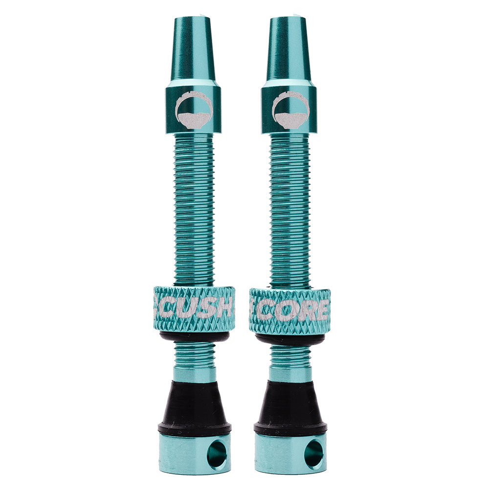CushCore Valves