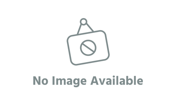 Tern NBD Fenders 20"