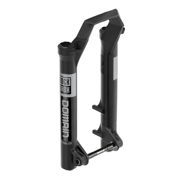 RockShox Domain B1+ (2022+) Fork Spare Parts