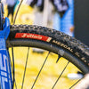 Vittoria Tyre Mezcal XC Race TLR