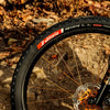 Vittoria Peyote XC-Trail 29"