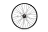 Salt Wheel Rear Everest 9T 20"