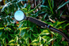 PDW Mirror Watch Your Back Bar-End